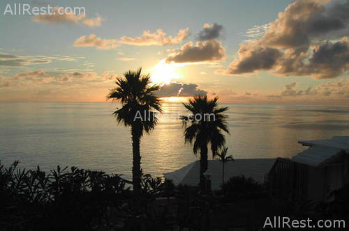 Pompano Beach Club 51